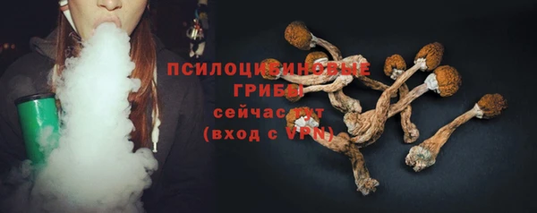 мяу мяу мука Алексеевка