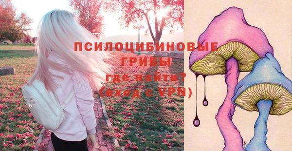 мяу мяу мука Алексеевка